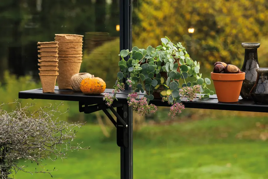 Foldable Integral Shelf
